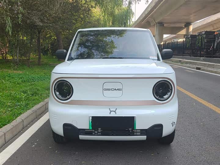 Geely Panda mini 200 km Endurance Bear