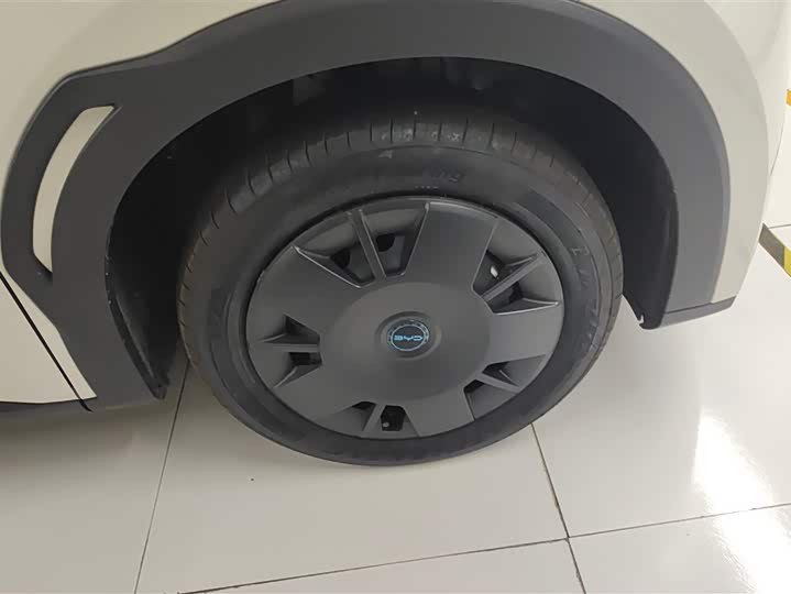 BYD Seagull 305 km Free