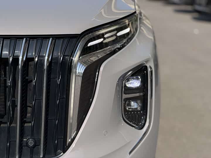 Hongqi HS7