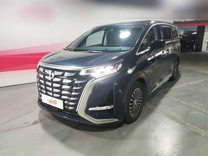 Denza D9 DM-i 980 AWD Flagship