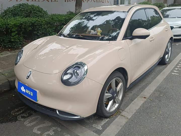 Great Wall ORA Good Cat 2023 401 KM Стандартный запас хода Премиальная Литий-железо-фосфат (LFP)