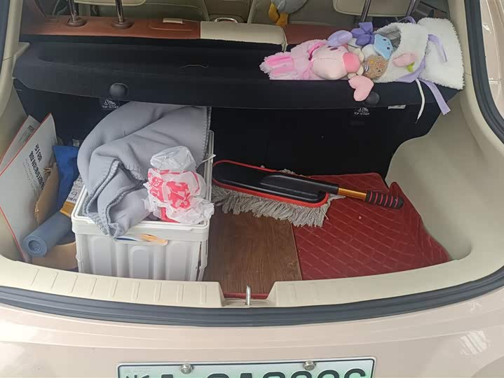 Great Wall ORA Good Cat 2023 401 KM Стандартный запас хода Премиальная Литий-железо-фосфат (LFP)