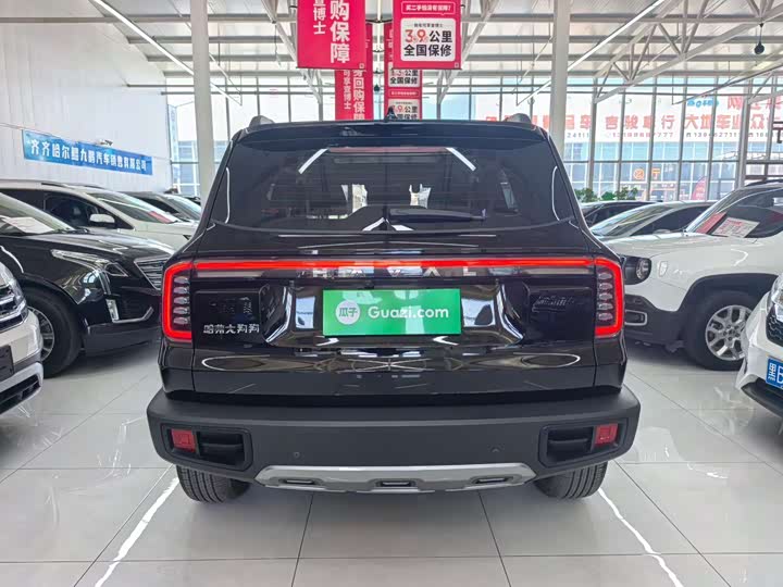 Haval Big Dog