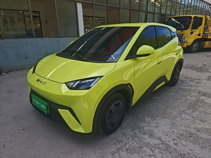 BYD Seagull
