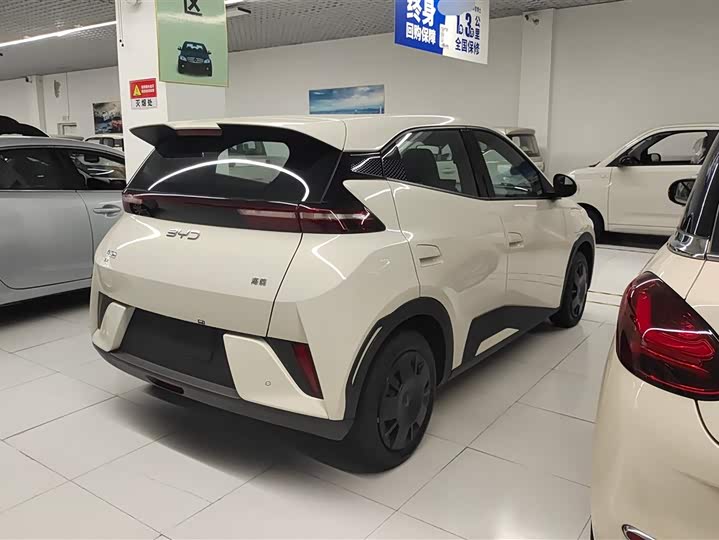 BYD Seagull 305 km Free