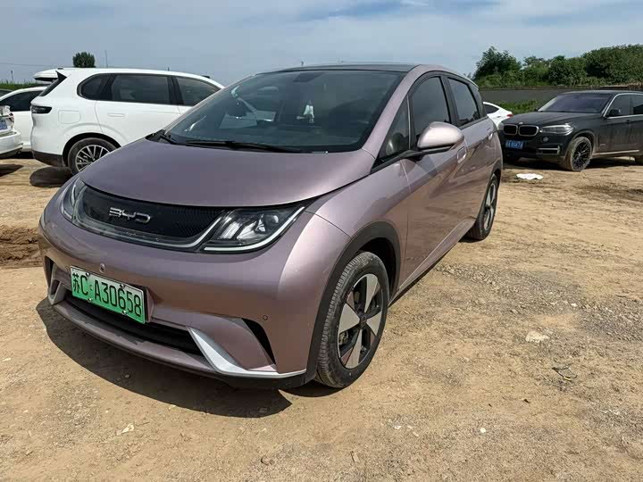 BYD Dolphin Glory Edition 420 km Style