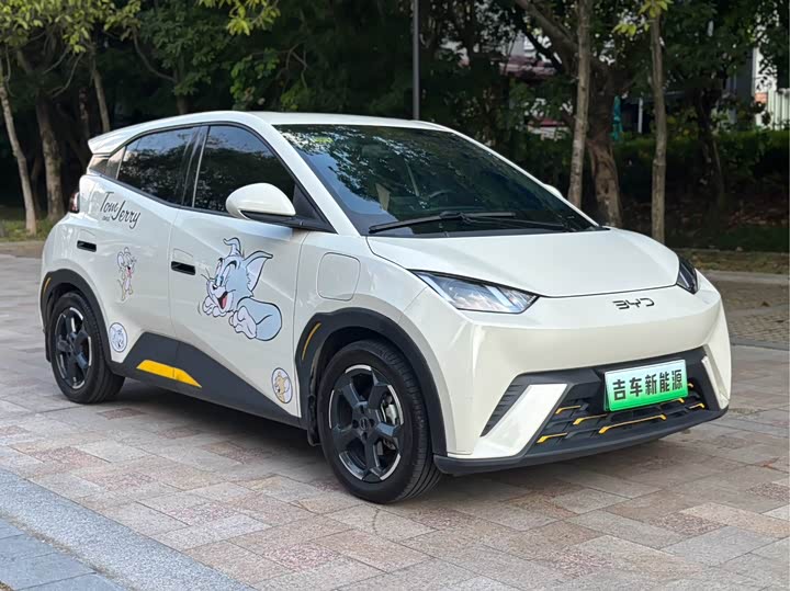 BYD Seagull Freedom Edition
