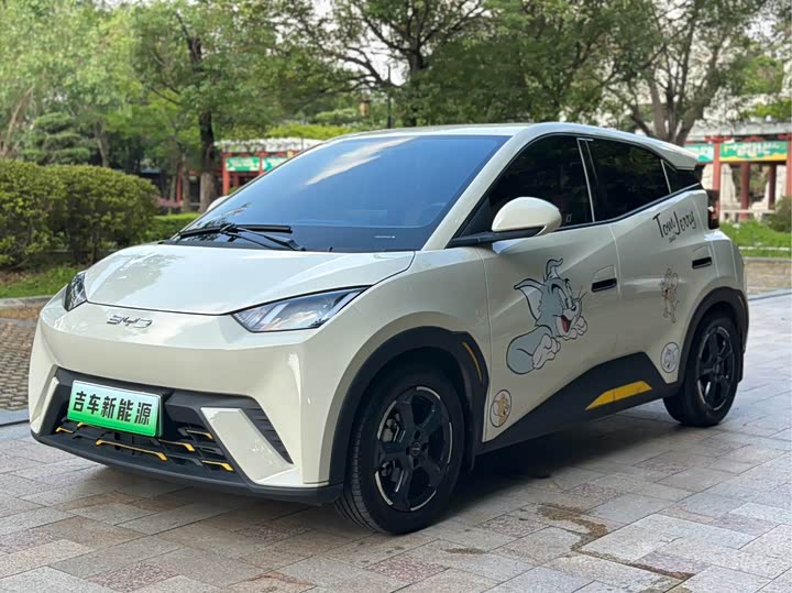 BYD Seagull Freedom Edition