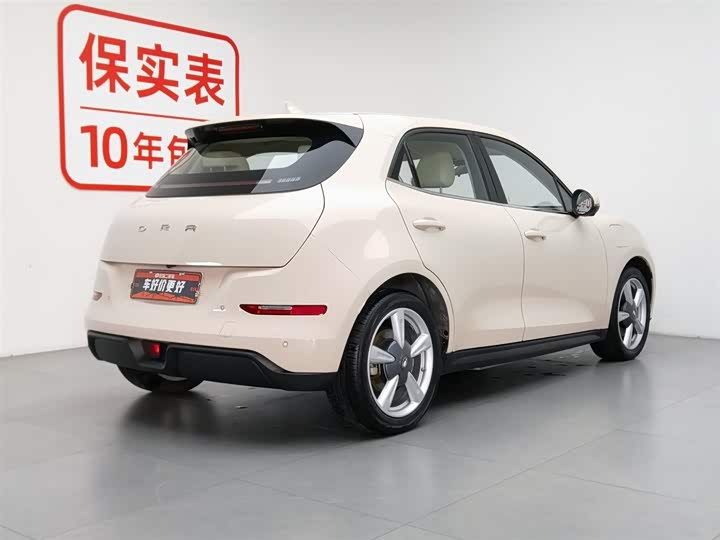 Great Wall ORA Good Cat 401 km Standard Range Zunrong LFP