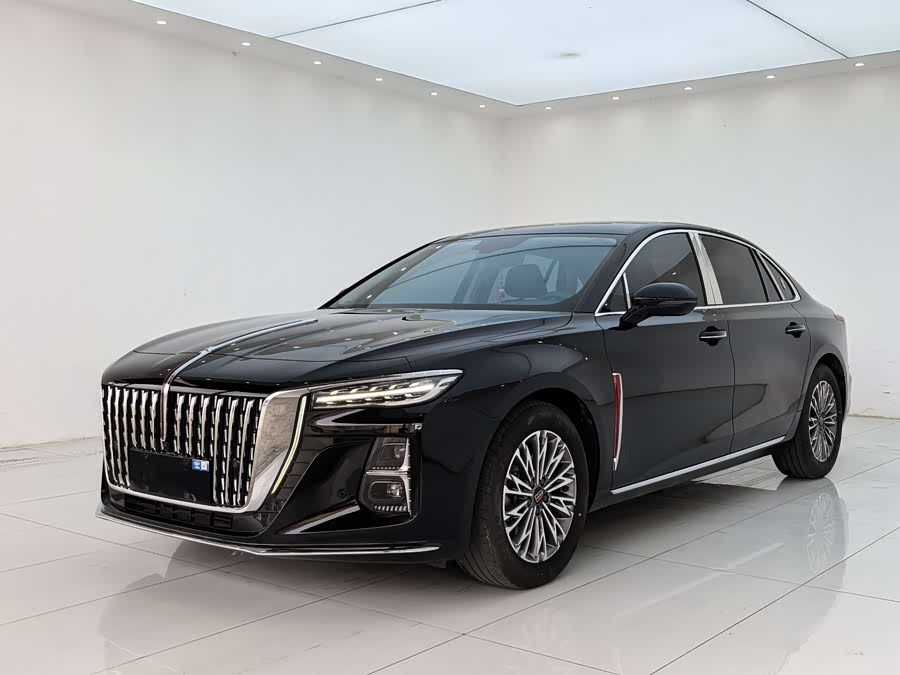 Hongqi HongqiH5 2024Trim