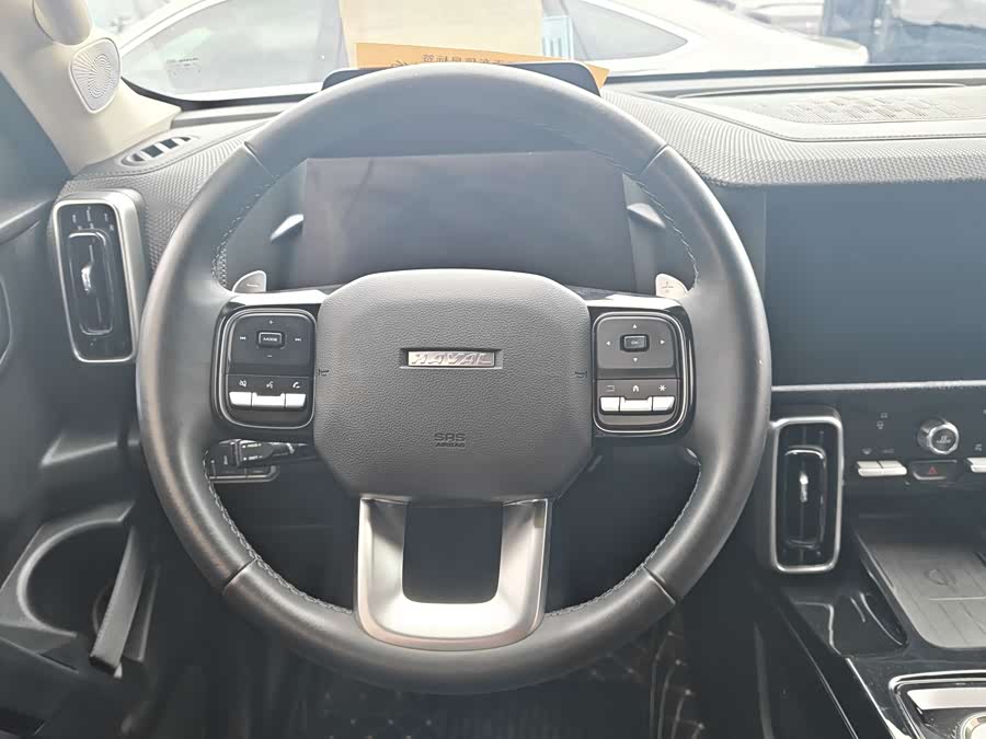 Haval Big Dog