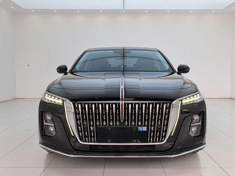 Hongqi HongqiH5 2024Trim