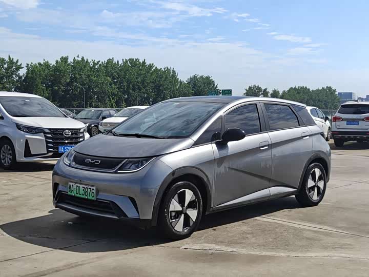 BYD Dolphin 420 km Style