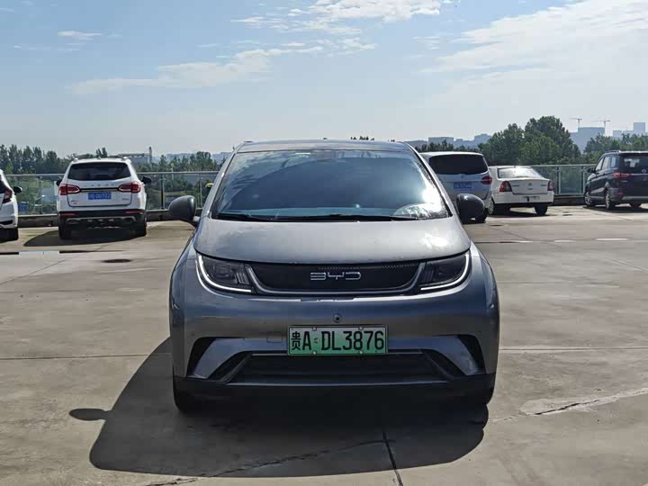BYD Dolphin 420 km Style