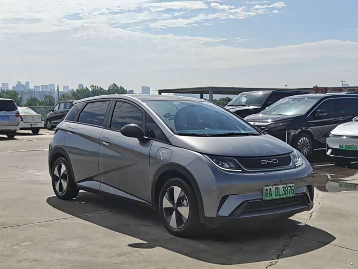 BYD Dolphin 420 km Style
