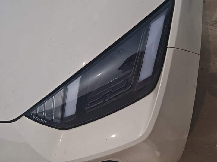BYD Seagull Honor 305 km Free
