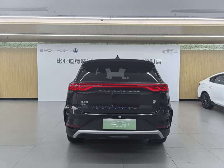 BYD Tang DM-i Honor 112 km Flagship