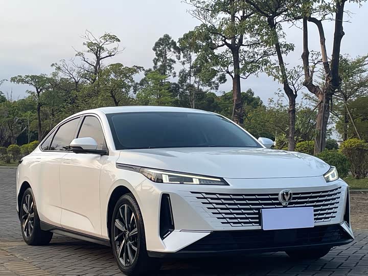 Changan Yida Blue Whale NE