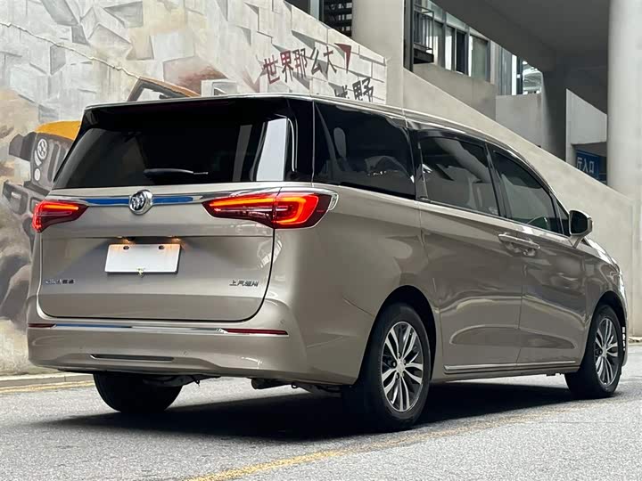 Buick GL8 ES Avenir Comfort