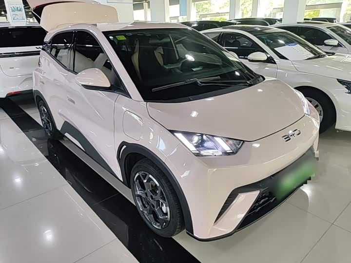 BYD Seagull Honor 305 km Free