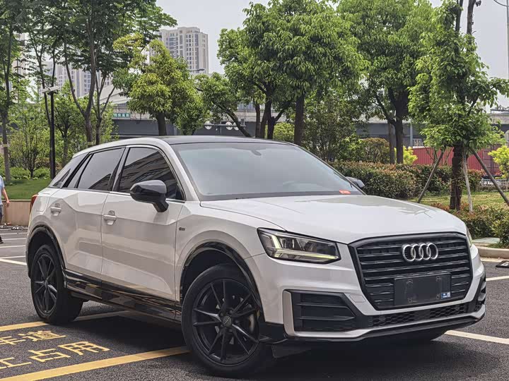 Audi Q2L 35 TFSI Entry Dynamic
