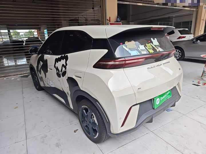 BYD Seagull Freedom Edition