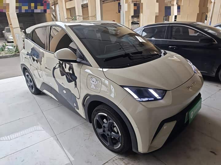 BYD Seagull Freedom Edition