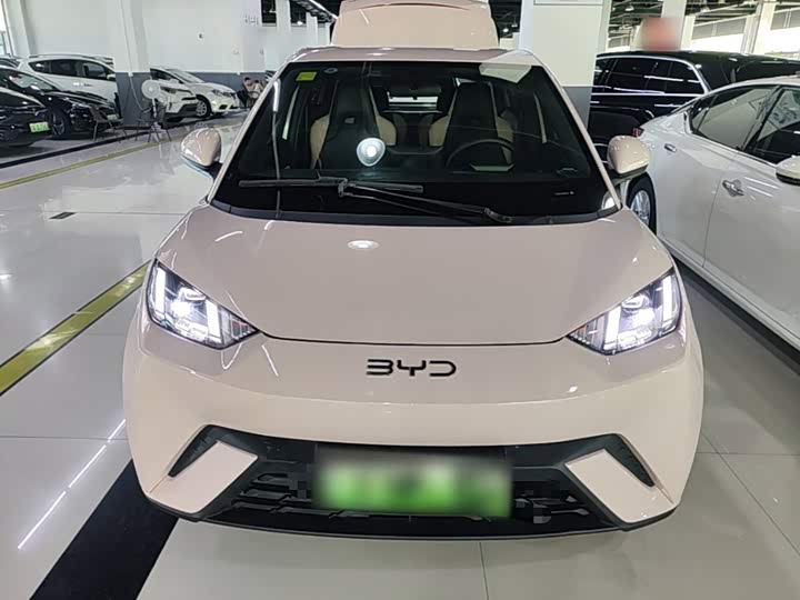 BYD Seagull Honor 305 km Free