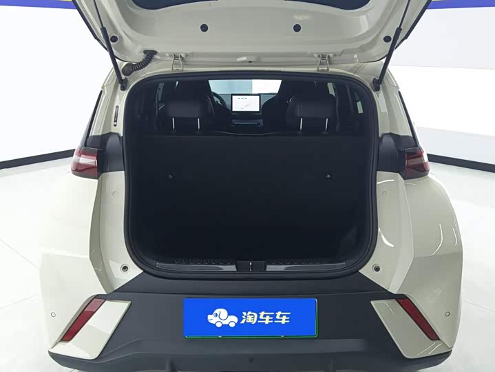 BYD Seagull Honor Edition 305 km Vitality