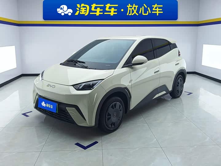 BYD Seagull Honor Edition 305 km Vitality