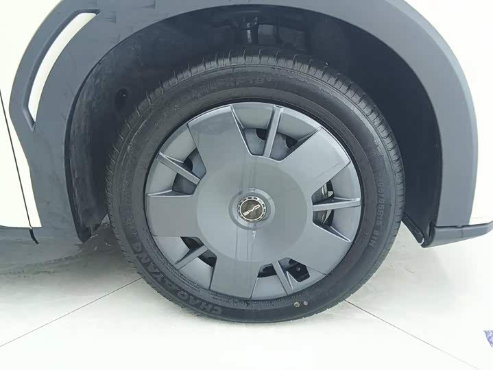 BYD Seagull Honor Edition 305 km Vitality