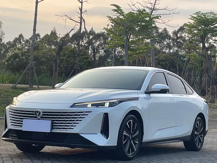 Changan Yida Blue Whale NE