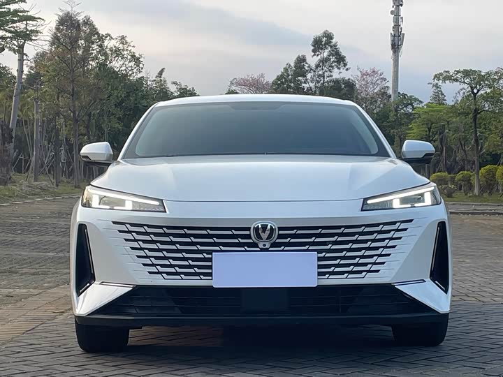 Changan Yida Blue Whale NE