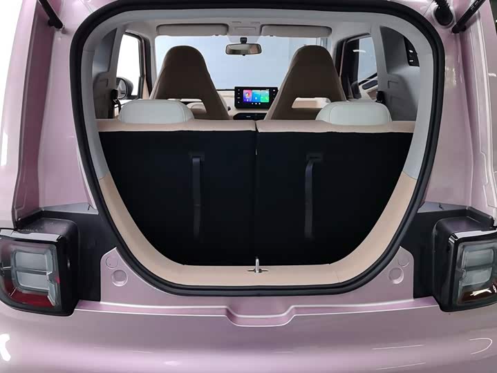 Geely Panda mini 200 km Endurance Bear