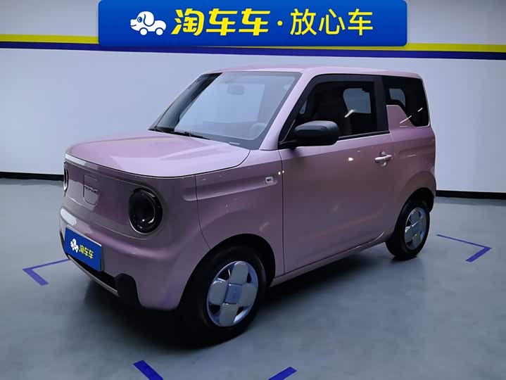 Geely Panda mini 200 km Endurance Bear