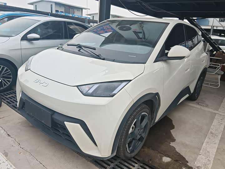 BYD Seagull Honor 305 km Free