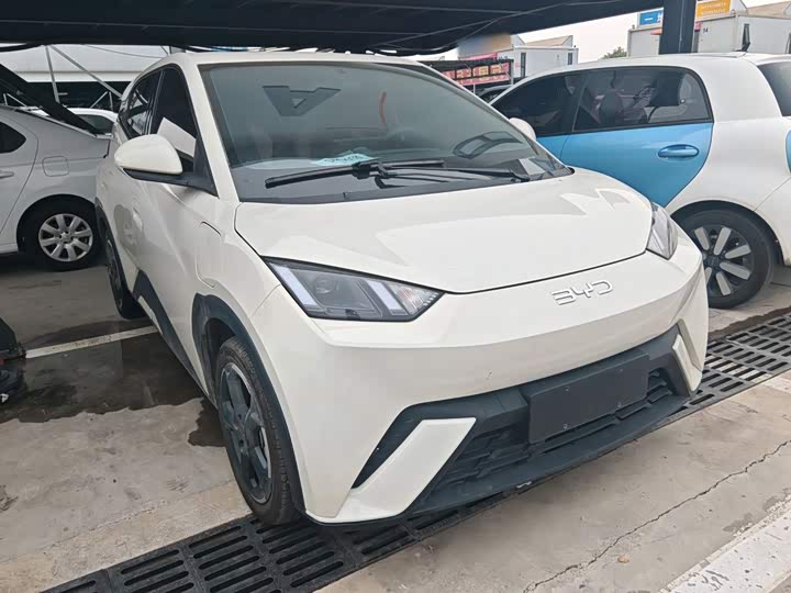BYD Seagull Honor 305 km Free