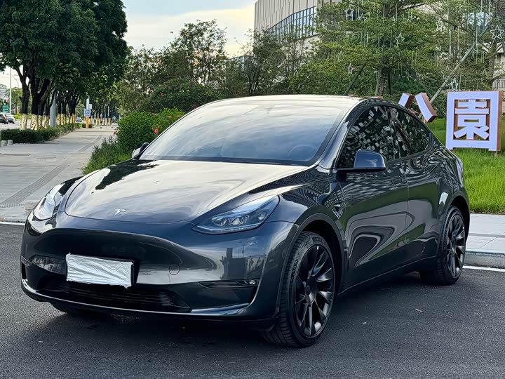 Tesla Model Y Long Range