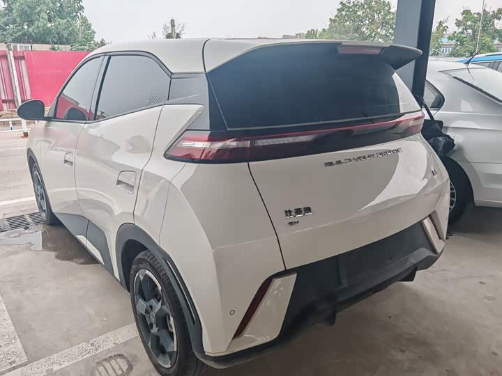 BYD Seagull Honor 305 km Free