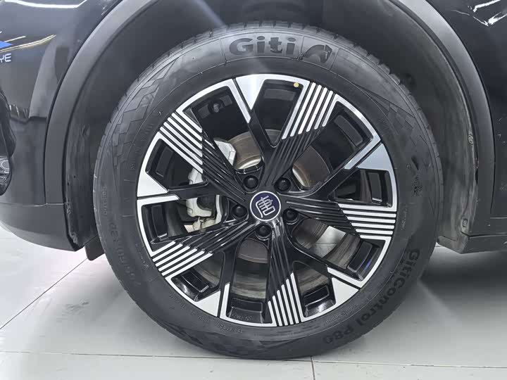 BYD Tang DM-i Honor 112 km Flagship