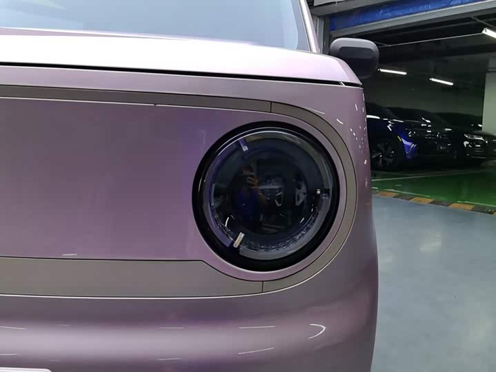 Geely Panda mini 200 km Endurance Bear