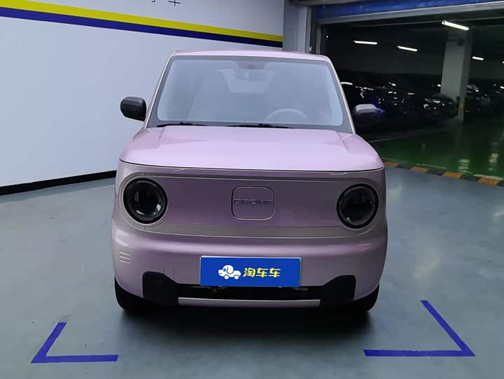 Geely Panda mini 200 km Endurance Bear