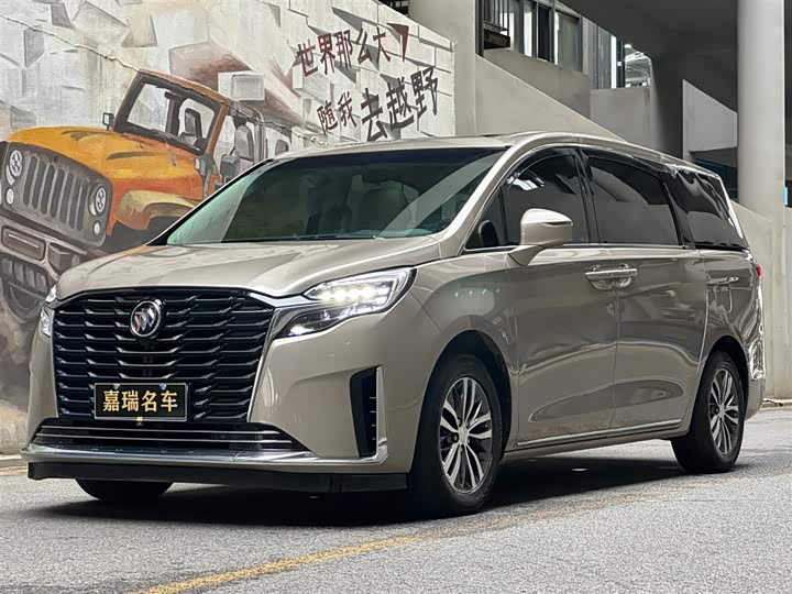 Buick GL8 ES Avenir Comfort