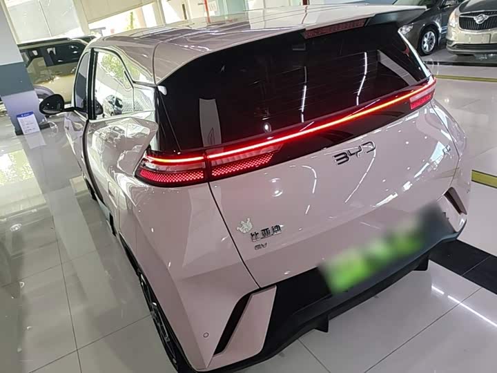 BYD Seagull Honor 305 km Free