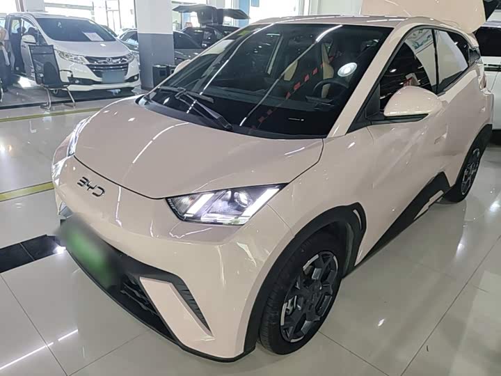 BYD Seagull Honor 305 km Free