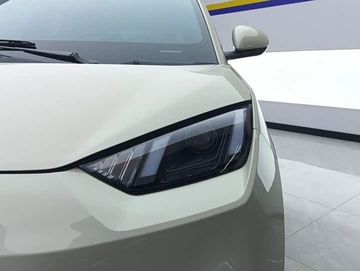 BYD Seagull Honor Edition 305 km Vitality