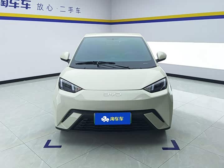 BYD Seagull Honor Edition 305 km Vitality