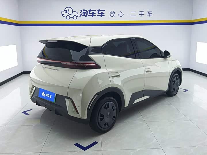 BYD Seagull Honor Edition 305 km Vitality