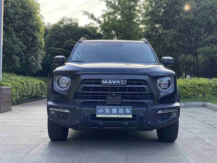 Haval Big Dog