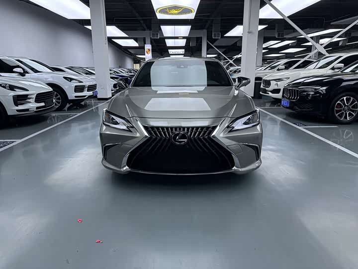 Lexus ES 200 Premium Enjoy Edition